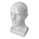 thumbnail image 2 of Cabeza de maniquí de PVC para hombre, soporte de exhibición, herramienta de peinado de belleza para sombrero, bufanda, accesorio Blanco, 2 of 9