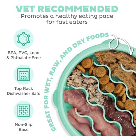ダッドウェイ　ファン＆スロウフィーダーボウル　ＸＳ　ミント　犬　食器　早食い防止