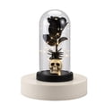 thumbnail image 2 of Halloween Skeleton Decorations 8 Inch Spooky Halloween Decor Glass Cloche with Base Indoor Halloween Lights Gothic Tabletop Display for Party and Home Accent, 1 Pack, 2 of 6