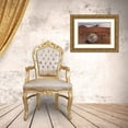 thumbnail image 3 of Illg, Cathy and Gordon 18x13 Gold Ornate Wood Framed with Double Matting Museum Art Print Titled - Hawaii, Maui, Haleakala NP Silversword plant, 3 of 4