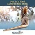 thumbnail image 2 of Cuerno de carnero Shofar Halleluyah, 14 a 16 cm, kosher, inodoro, con accesorios, 2 of 7