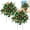 2Pack, variant on Bxaolu Holiday Planters, Holiday Planter Filler, Prelit Holiday Planter, Christmas Holiday Planter Filler Outdoor Decorations, Lighted Artificial Xmas Pine Trees with Tripod Stake (16", 2Pack)