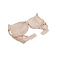 thumbnail image 5 of Angelina Ultimate Push-Up Padded Bras with Convertible Straps (6-Pack), 5 of 6