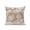 Mocha Brown, variant on 1 Pack Outdoor Throw Pillow, Brown Beige Coastal Waterproof Pillow with Insert Included, Nautical Coral Starfish Shell Octopus Sea Decorative Accent Cushion Sofa Pillows for Patio Porch, 16 x 16 In