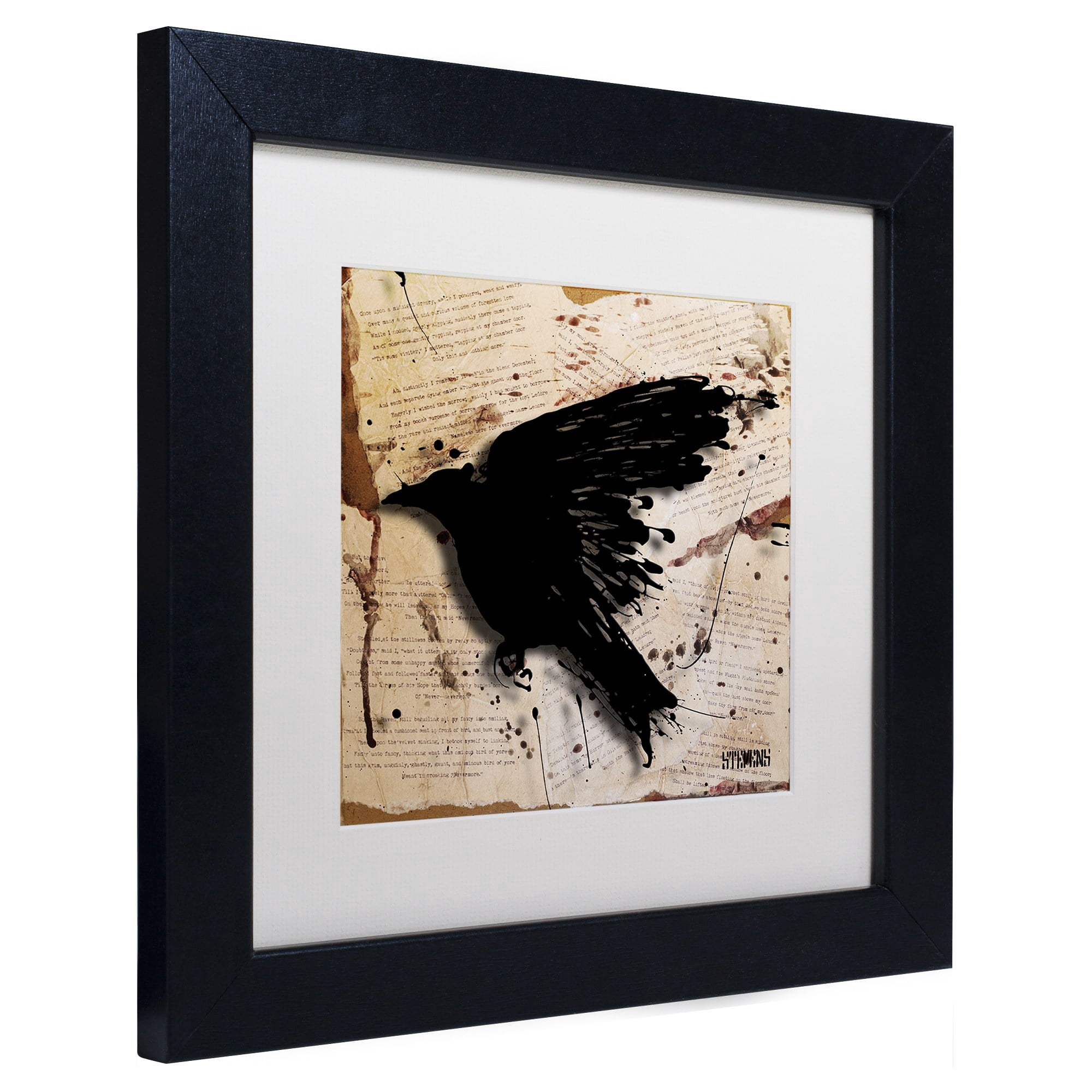 Trademark Fine Art "The Raven 3" Canvas Art by Roderick Stevens, White Matte, Black Frame