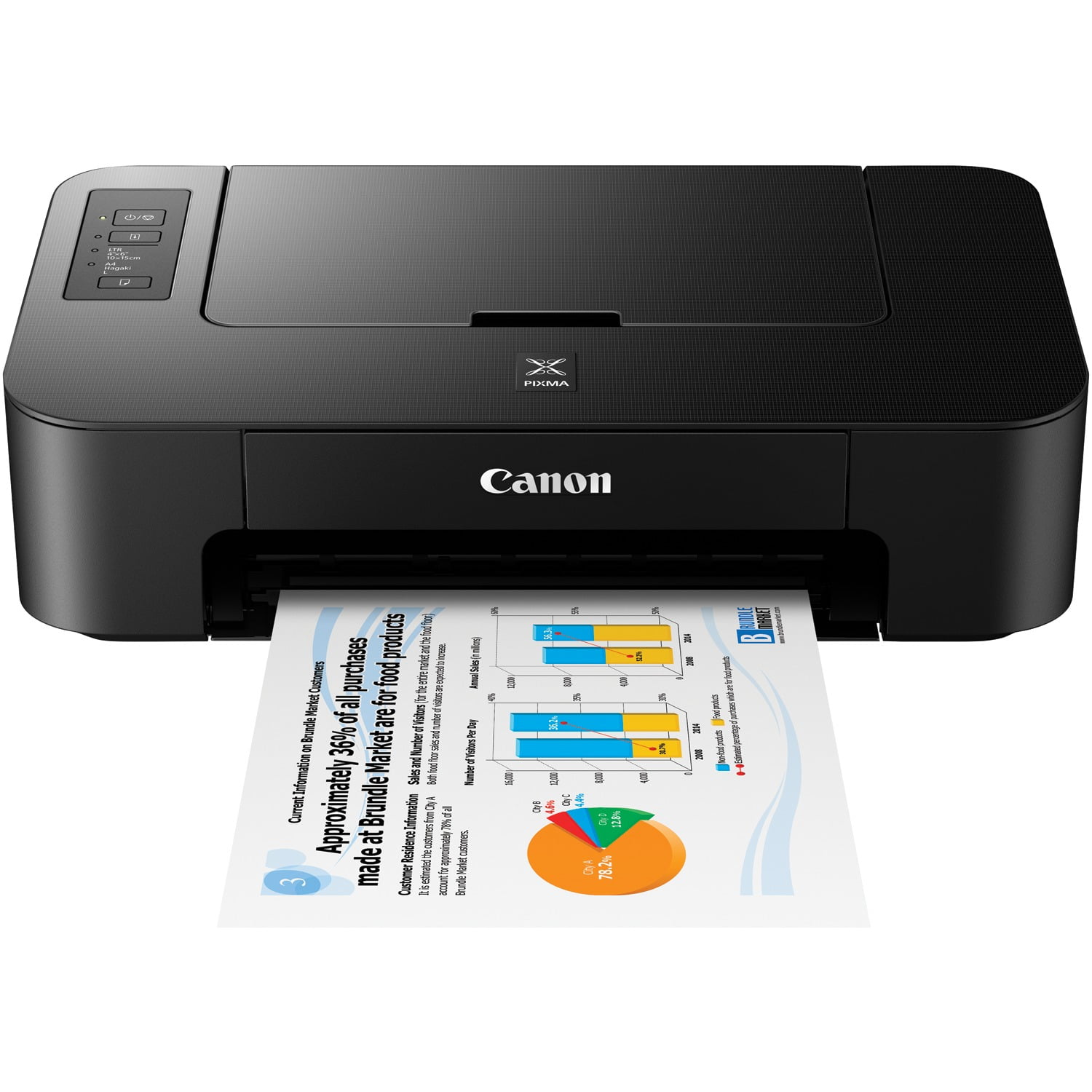 handicap Agrarisch toewijzing Canon 2319C002 PIXMA TS202 Inkjet Printer - Walmart.com