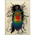 thumbnail image 1 of Karrunde Blanco, 1 of 2