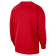 thumbnail image 3 of Men's Nike Scarlet Ohio State Buckeyes Heritage Max90 Long Sleeve T-Shirt, 3 of 3