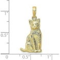 thumbnail image 4 of 14K Yellow Gold Textured Sitting Cat Charm - 25.3mm, 4 of 6