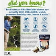 thumbnail image 4 of Pet Factory 100% Made in USA Beefhide Braided Sticks Natural Flavor - 7", 6 Count, 4 of 9