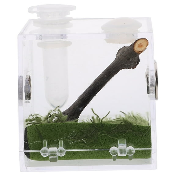 ifundom Acrylic Reptile Terrarium Enclosure for Jumping Spiders 1 Set Clear Habitat Cage