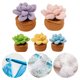 thumbnail image 2 of 5 Piezas Plantas en Macetas Kit Crochet Inicio Bricolaje para Adultos (suculento), 2 of 9