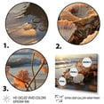thumbnail image 3 of Designart "Beach Photo Seashell composition IV" Nautical & Beach Floater Framed Wall Art Print, 3 of 7