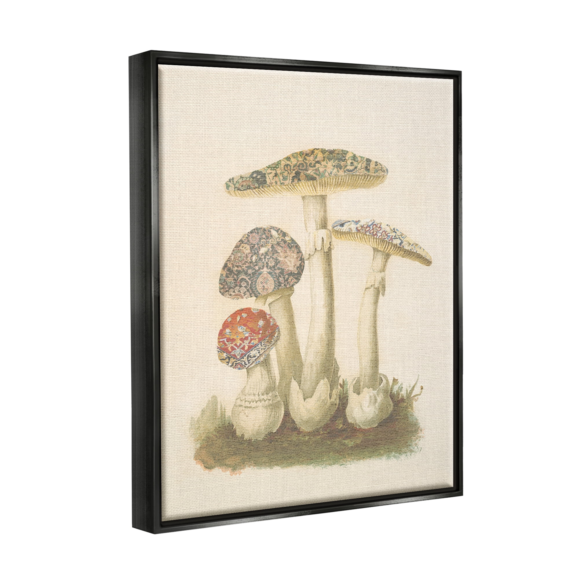 Stupell Industries Vintage Patterned Mushrooms Botanical & Floral Painting Black Floater Framed Canvas Art Print Wall Art, 17 x 21