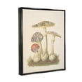 thumbnail image 4 of Stupell Industries Vintage Patterned Mushrooms Botanical & Floral Painting Black Floater Framed Canvas Art Print Wall Art, 25 x 31, 4 of 10