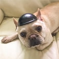 thumbnail image 3 of Destyer Cool Pet Scratch-proof Dog Motorcycles Doggie Hat Head Protection Lightweight Waterproof Cat Hats Riding, 3 of 6
