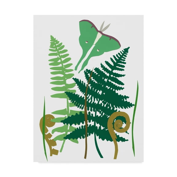 Trademark Fine Art 'Fern Fantasy Garden I' Canvas Art by Alicia Ludwig