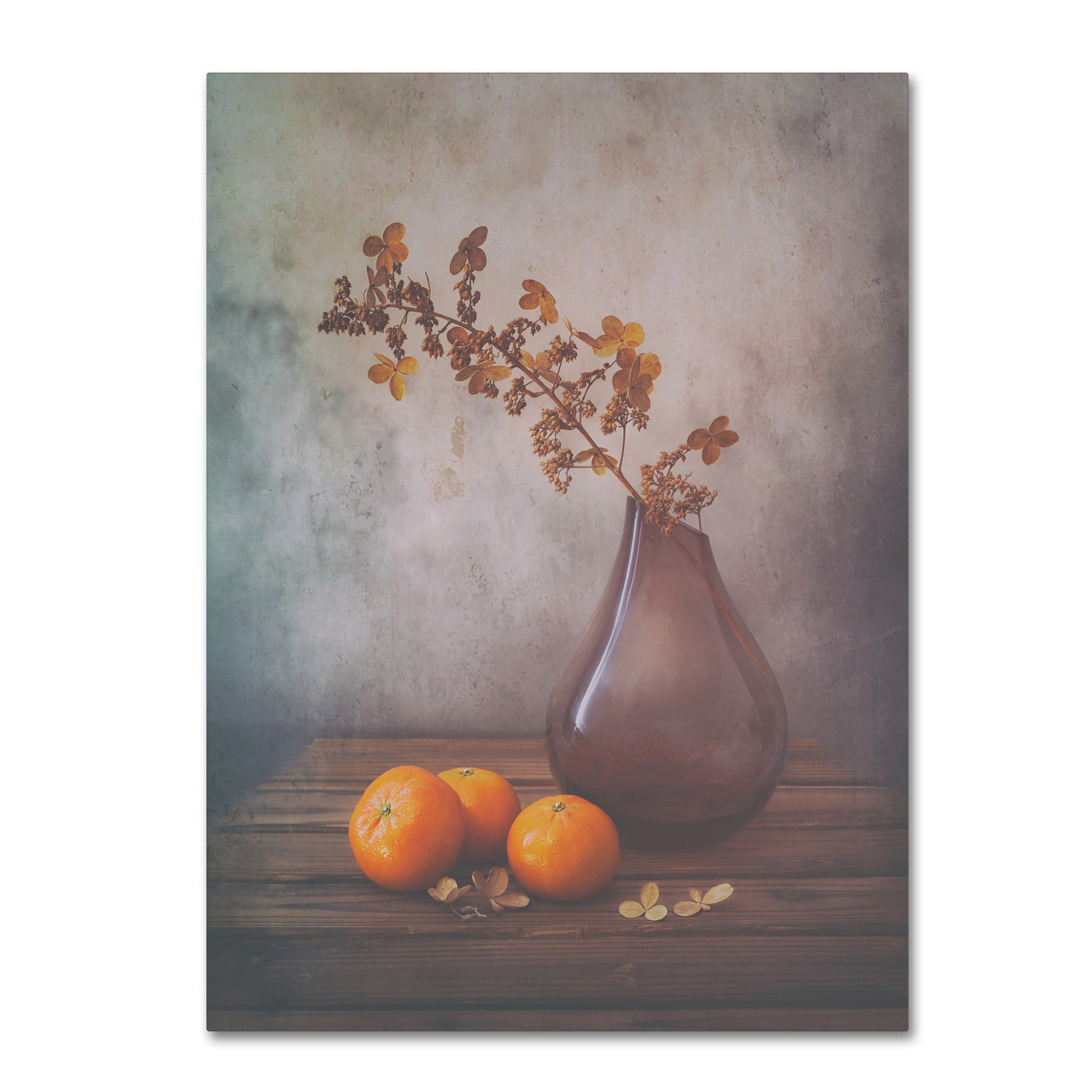 Trademark Fine Art 'Fall' Canvas Art by Sophie Pan