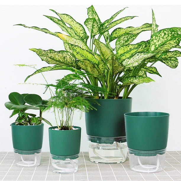 Maceta de absorción automática Maceta de autorriego Maceta hidropónica (L Verde) Likrtyny Para estrenar