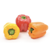 Fresh Color Bell Peppers, 3 Count