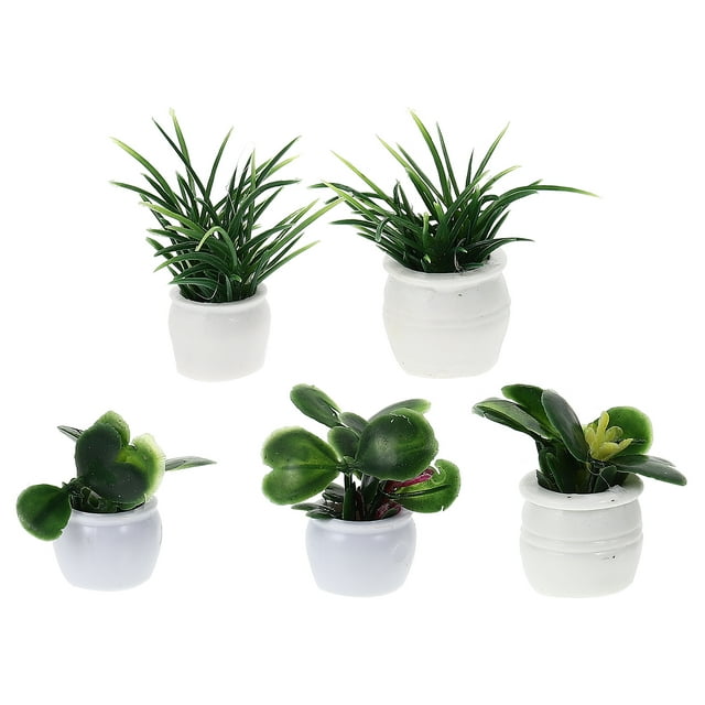 GOOHOCHY 5 mini macetas verdes para bonsáis, de plástico, para jardinería.
