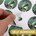thumbnail image 6 of TAILTOSS 5Sheets 10StickersPerSheet Round Green PVC Pot Labels for Vegetable Seedling Labels, 6 of 8