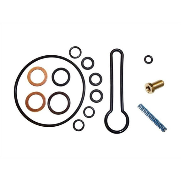 Fuel Pressure Regulator Service Kit