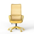 thumbnail image 3 of Silla de oficina colorida ergonómica 300lb (aproximadamente 149.7kg) Silla de computadora de soporte lumbar ajustable, 3 of 5