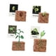 thumbnail image 3 of Juguetes de ciclo de vida Montessori, figuras educativas de biología y crecimiento animal Crecimiento de la planta, 3 of 9