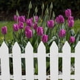 thumbnail image 5 of 4 Pcs Clôture Décorative de Jardin Pelouse Plante Bordure de Clôture Paysage de Jardin Déco de Clôture, 5 of 5