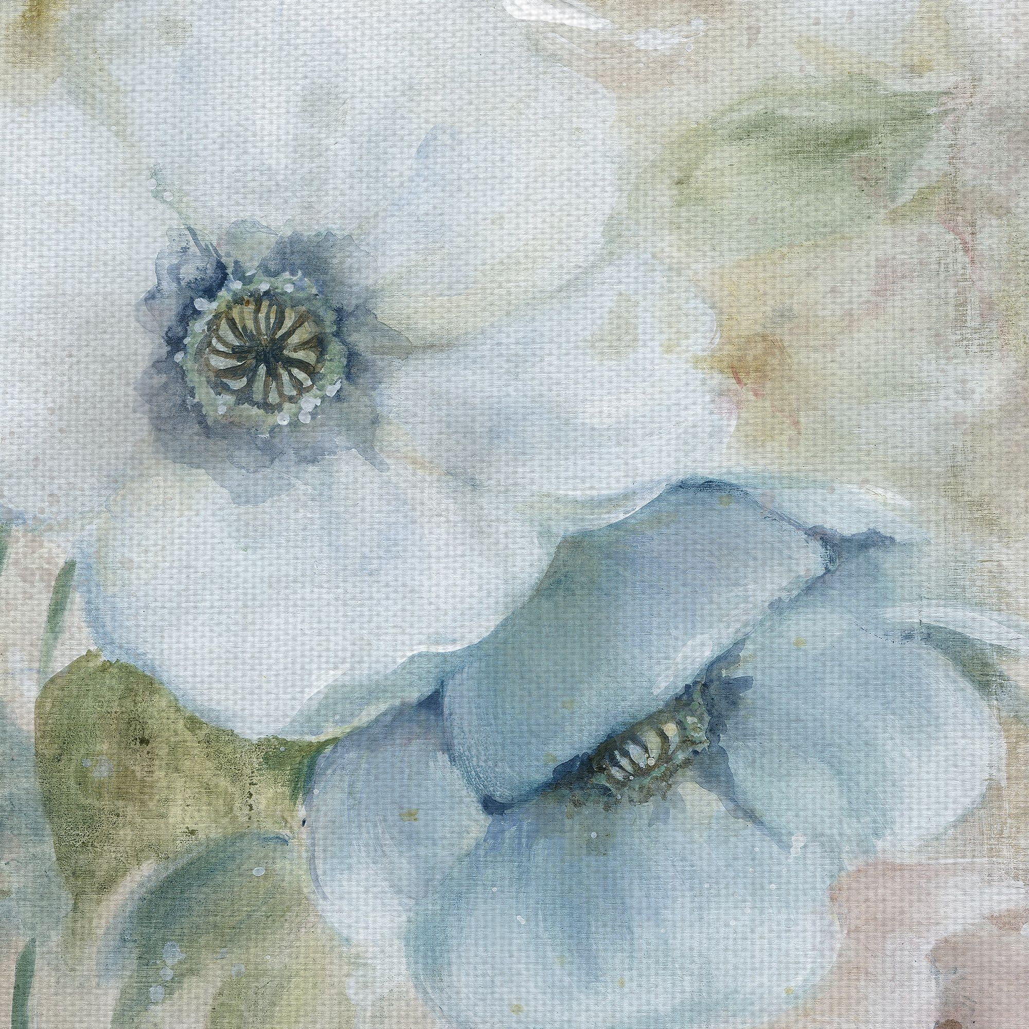 Masterpiece Art Gallery Pastel Garden I White Flowers By Carol Robinson Canvas Art Print 24" x 24"