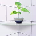 thumbnail image 2 of Oubit Wall Floating Shelves,2 Pcs Acrylic Radial Radial Corner Shelf Radial Shelf Innovative Solution, 2 of 9