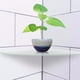 thumbnail image 3 of Estante de esquina radial, 2 piezas Estante de pared radial de acrílico Estantes flotantes de pared Diseño de última generación, 3 of 8