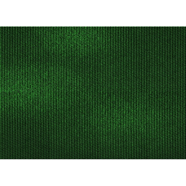 Ahgly Company Tapis Rectangulaire d'Intérieur Lavable en Machine Vert Transitionnel, 2 Pieds x 5 Pieds