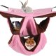 thumbnail image 1 of Hamaca para mascotas pequeñas, Hamaca para mascotas de 3 capas, Hamaca para hurones, Hamaca para roedores, Cama para animales pequeños, 1 of 5