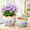 Pattern Blue Hydrangeas, variant on 2 Pack Pattern Green Leaves Ceramic Planters with Drainhole, 5.5 + 6.6 Inch Crackle Glaze Pots