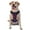 With Accessories, variant on Vsdgher Giant Monster Over City Dog Harness, No-Pull Pet Harness, Dog Vest, Pet Vest for Small to Large Dogs-