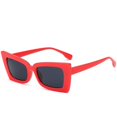 thumbnail image 1 of Unisex Square Classic Cat Eye Sunglasses Cateye Sunglasses Y1065, 1 of 5