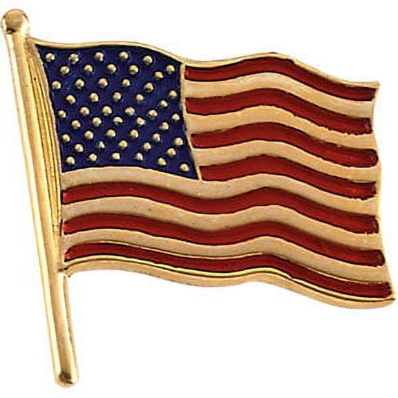 FB Jewels 14K Yellow Gold 14.5x14mm American Flag Lapel Pin