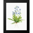 thumbnail image 2 of Swatland, Sally 19x24 Black Modern Framed Museum Art Print Titled - Garden Botanical II, 2 of 5