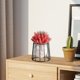 thumbnail image 5 of Jarrón de flores de vidrio hidropónico Soporte de hierro de mesa | Jardinera decorativa transparente moderna | Para sala de estar, dormitorio, estudio | Contenedor de plantas acuáticas de interior |, 5 of 6