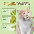 thumbnail image 6 of Cat Grass Teething Sticks, Chew Sticks for Cats, Cat Teeth Cleaning Cat Grass Stick, Catnip Toys Sticks Indoor Kitten Chew Stick Cat Teething Toy for Hairball Removal (3bag/15pcs), 6 of 10