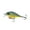 Backwater Bluegill, variant on 6th Sense – Crush Series Squarebill Crankbait Bass Fishing Lure, Shallow Diving Hard Bait