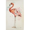 thumbnail image 2 of Pinto, Patricia 10x14 Black Ornate Wood Framed with Double Matting Museum Art Print Titled - Flamingo I, 2 of 4