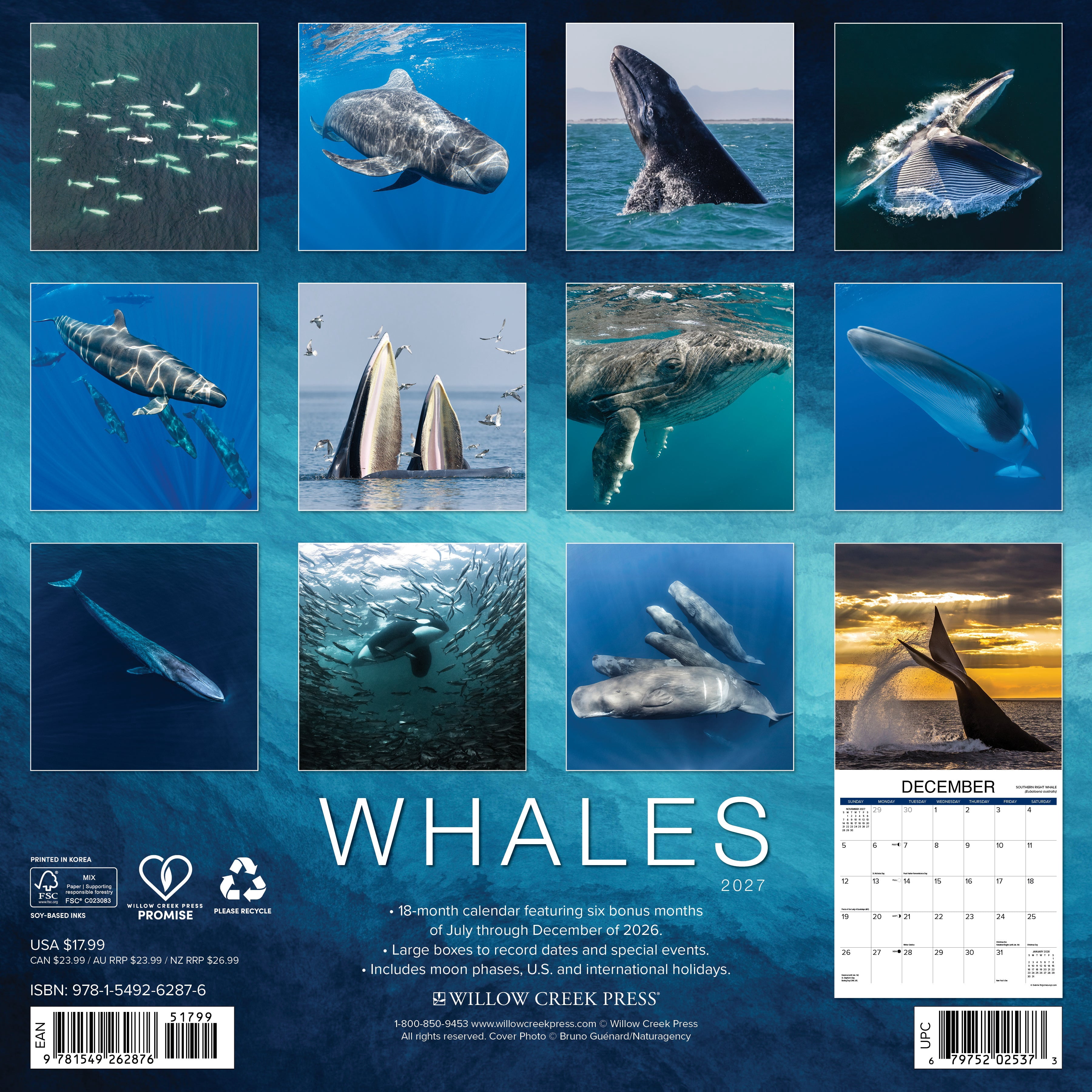 Willow Creek Press, Whales 2027 Wall Calendar