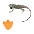 thumbnail image 4 of WEUVEB 2Ud Reptile Bowl Para Hidratación Diaria De Reptiles Con Material Premium Y Compacto, 4 of 7