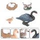 thumbnail image 5 of Jibingyi 1 juego de modelos de crecimiento de ganso, juguetes de crecimiento de cisne, figuras de cisne de plástico, juguetes educativos para niños, 5 of 5