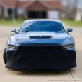 thumbnail image 2 of 2015-2016 Ford Mustang NoviStretch Front Bumper Bra Mask, 2 of 7