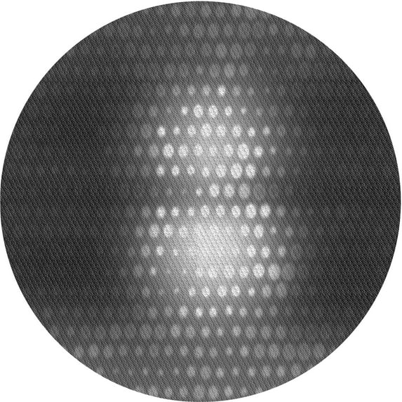Ahgly Company Machine Washable Indoor Round Transitional Gray Area Rugs, 4' Round