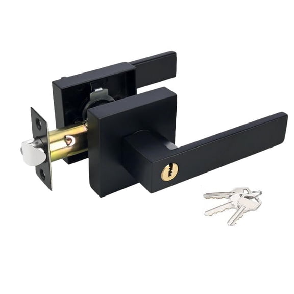 1 Pack Entry Door Lever with Lock and Key,Entrance Door Handles for Office and Front Door, Black